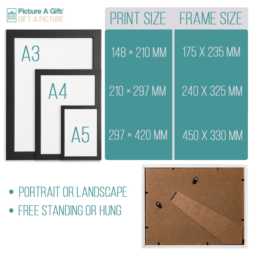 Picture A Gift Size Chart For Frames And Prints