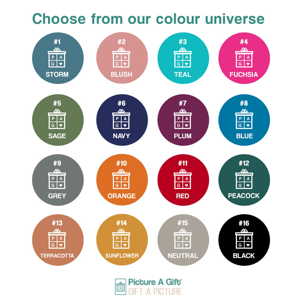 Picture A Gift Colours From You To Choose From